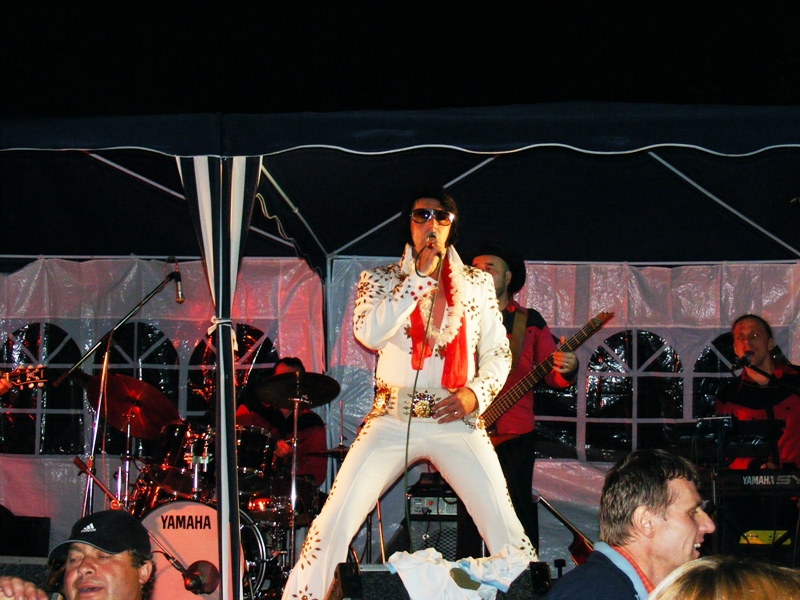 Elvis 2.jpg